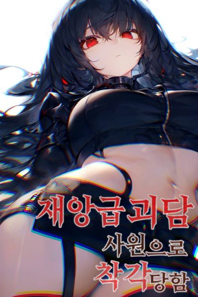 Novel Banner