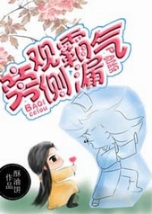 Novel Banner