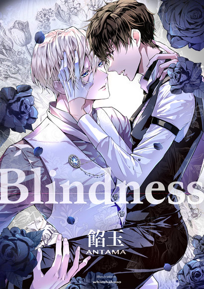 Novel Banner