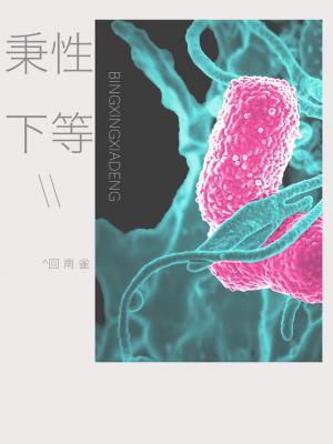 Novel Banner