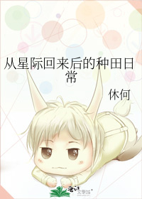 Novel Banner