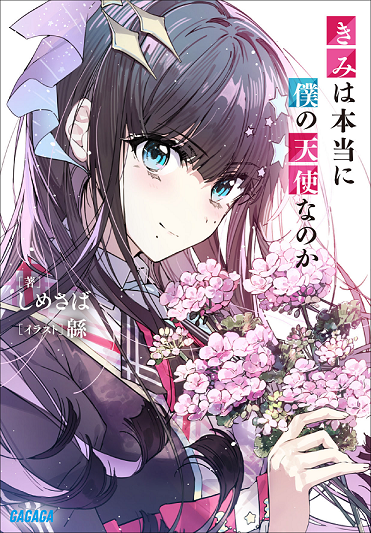 Novel Banner