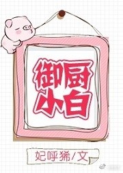 Novel Banner