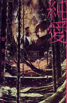Novel Banner