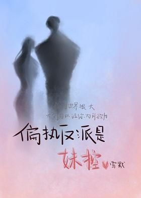 Novel Banner
