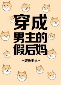 Novel Banner