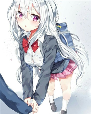 Novel Banner