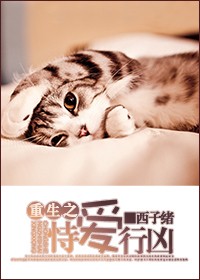 Novel Banner