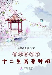 Novel Banner