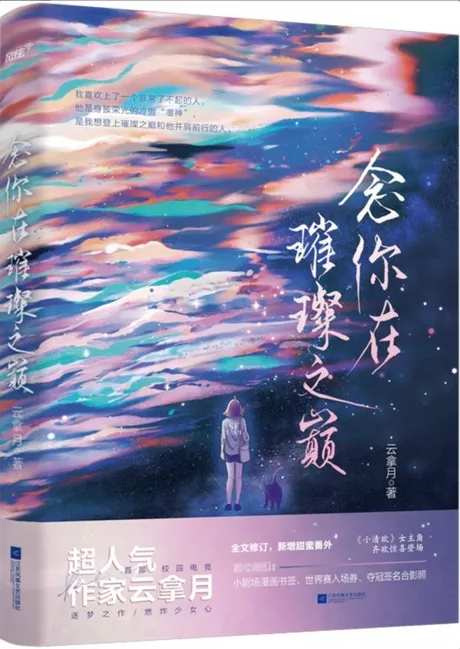 Novel Banner