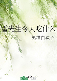 Novel Banner