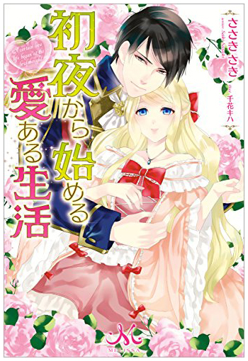 Novel Banner