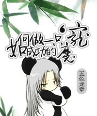 Novel Banner
