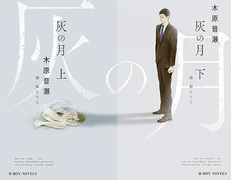 Novel Banner