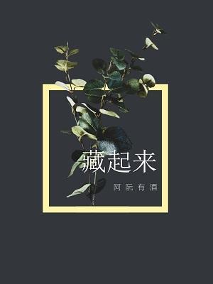 Novel Banner