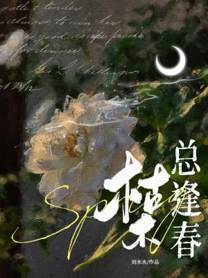 Novel Banner