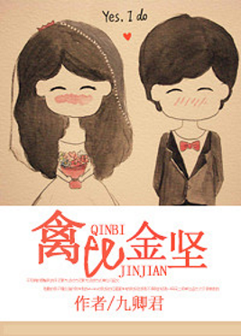 Novel Banner