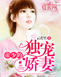 Novel Banner