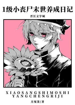 Novel Banner