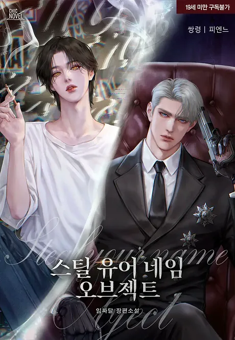 Novel Banner