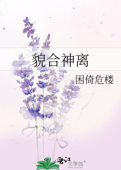 Novel Banner