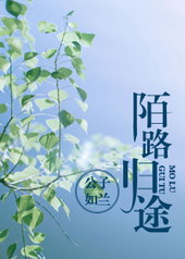 Novel Banner