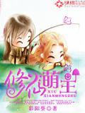 Novel Banner