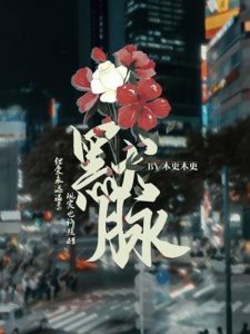 Novel Banner
