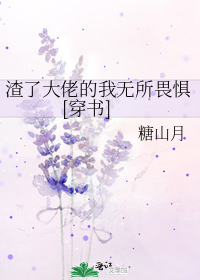 Novel Banner