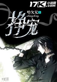 Novel Banner