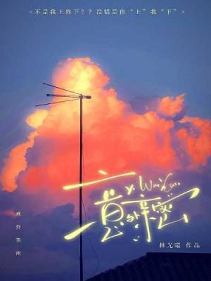 Novel Banner