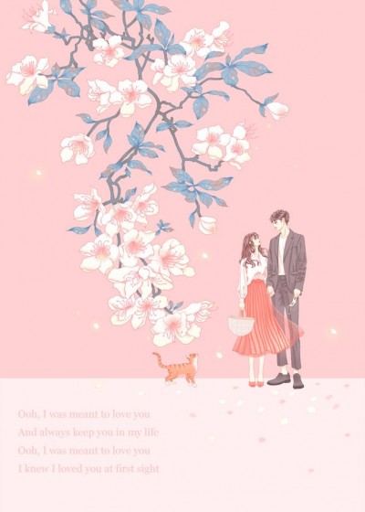 Novel Banner