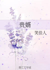 Novel Banner