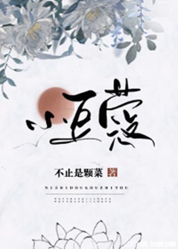 Novel Banner