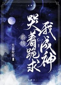 Novel Banner