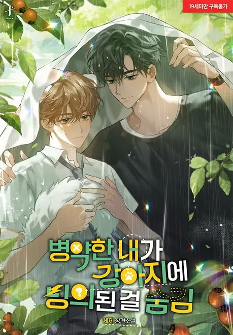 Novel Banner