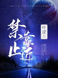Novel Banner