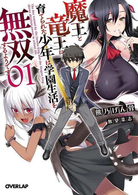 Novel Banner