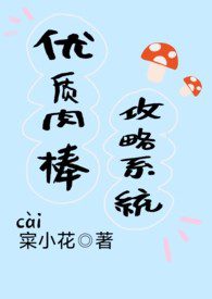 Novel Banner