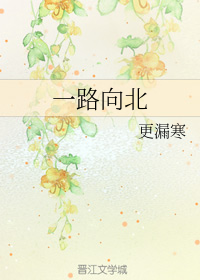 Novel Banner