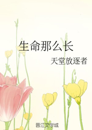 Novel Banner