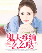 Novel Banner