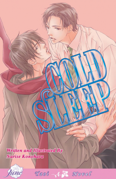 Novel Banner