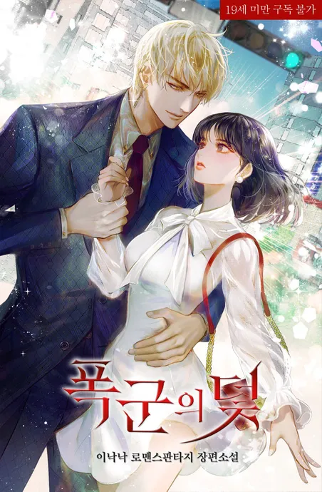 Novel Banner