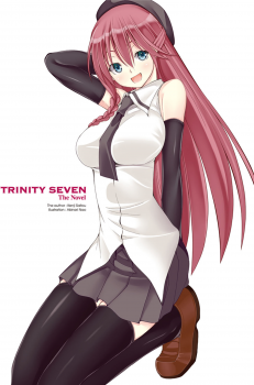 Novel Banner