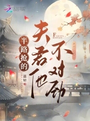 Novel Banner