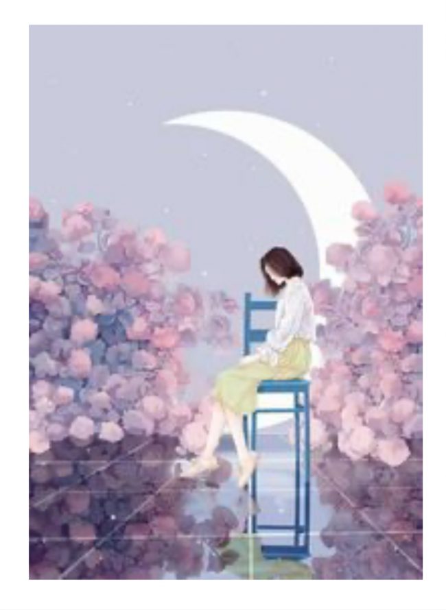 Novel Banner