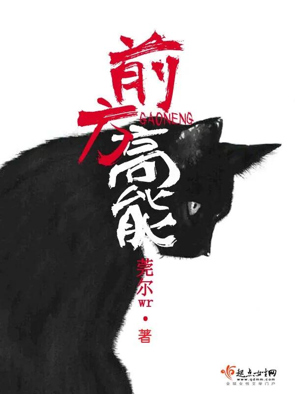 Novel Banner