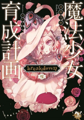 Novel Banner