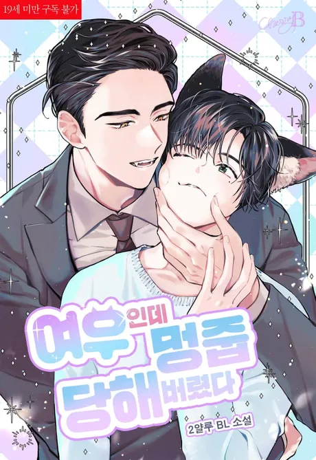 Novel Banner